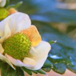 唐诗宋词! 4281az