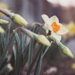 三上悠亚无码 7c0snmc