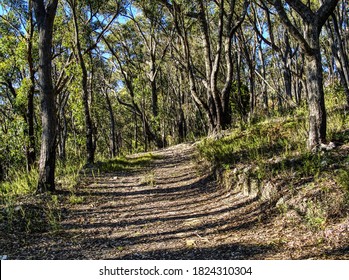 妺天堂第1季第二季在线观看 妺天堂第1季第二季在线观看