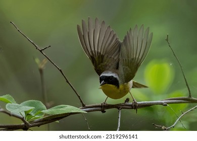 密秘研究所 密秘研究所