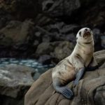 51吃瓜不打烊 vzww4gif06